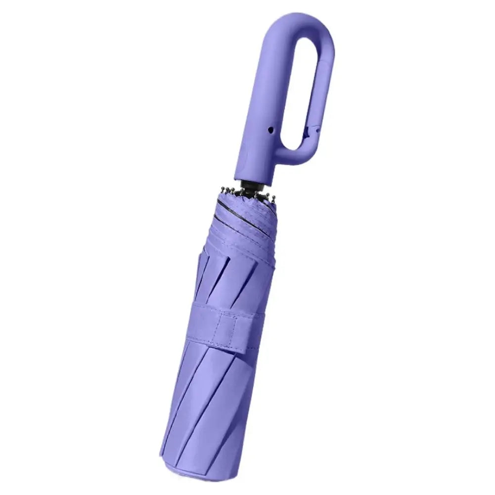 10-Rib Auto Folding Umbrella – UPF 50+, Windproof, Compact Compact Folding Umbrella Babs F