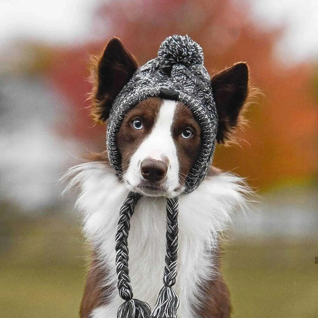 Winter Windproof Knit Dog Hat – French Bulldog & Chihuahua Dog Winter Hat Babs