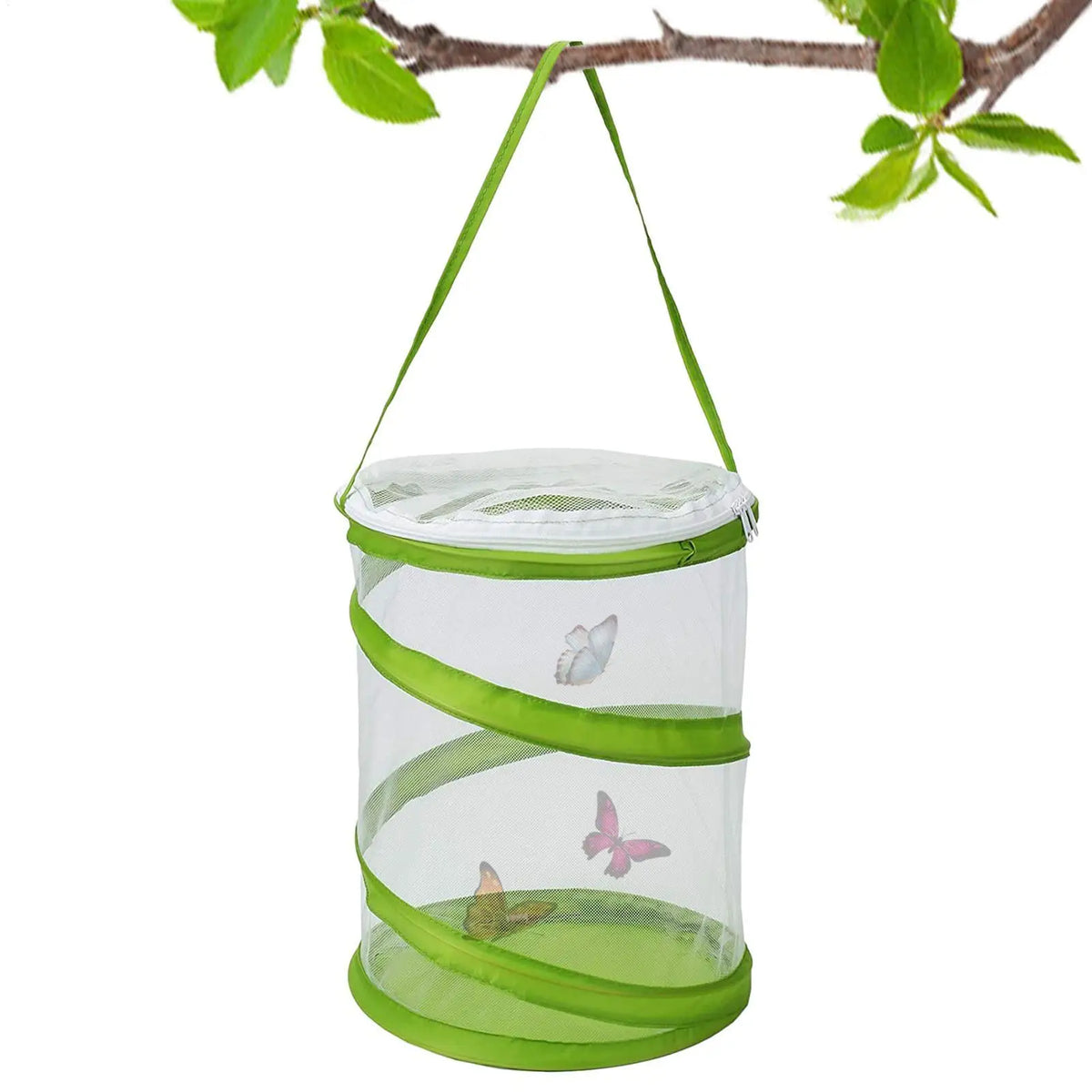 Foldable Butterfly Habitat Cage – Clear Mesh Caterpillar Enclosure Insect Habitat Cage Babs