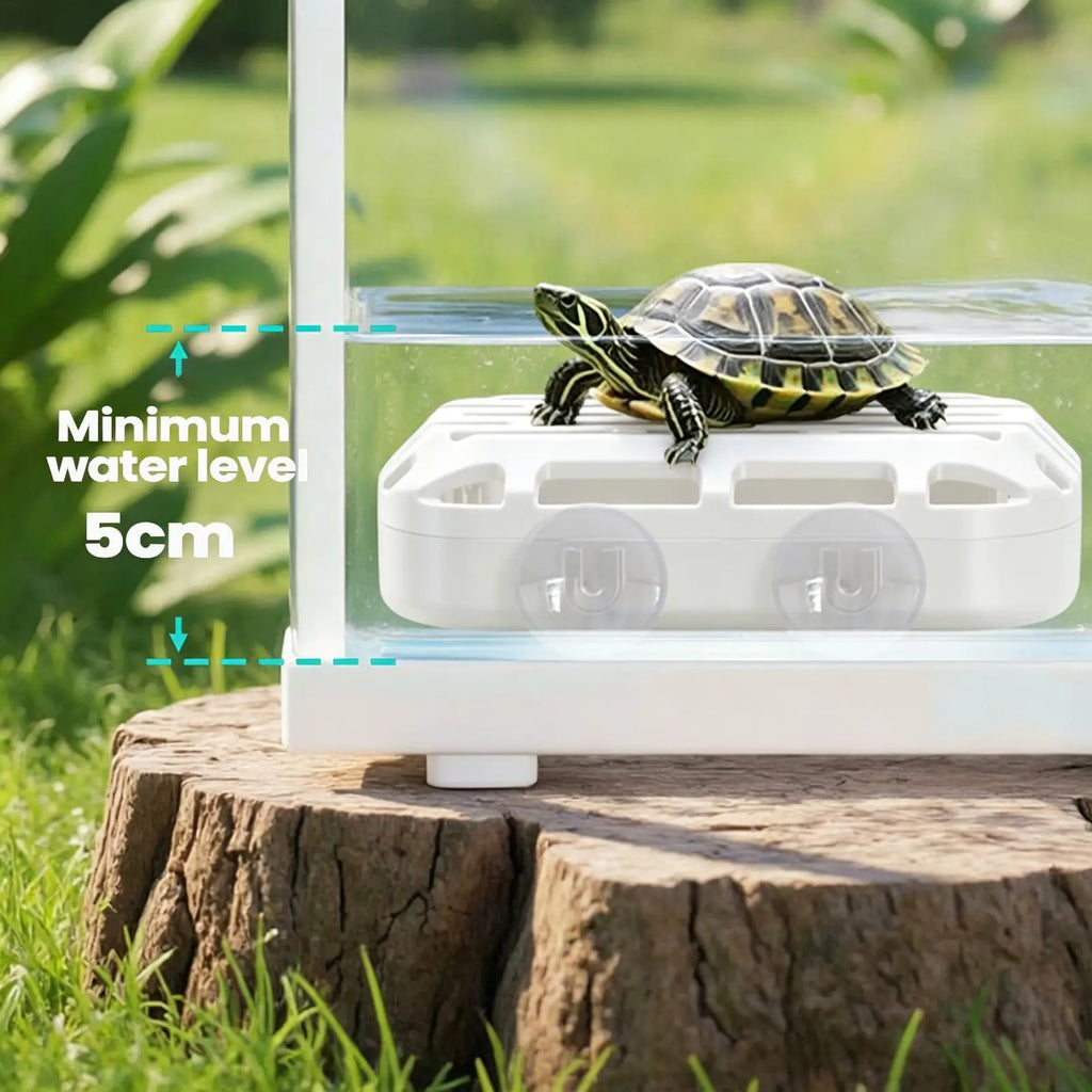 Turtle Tank Waste Collector – Suction Cup Reptile Toilet Reptile Tank Accessory Babs