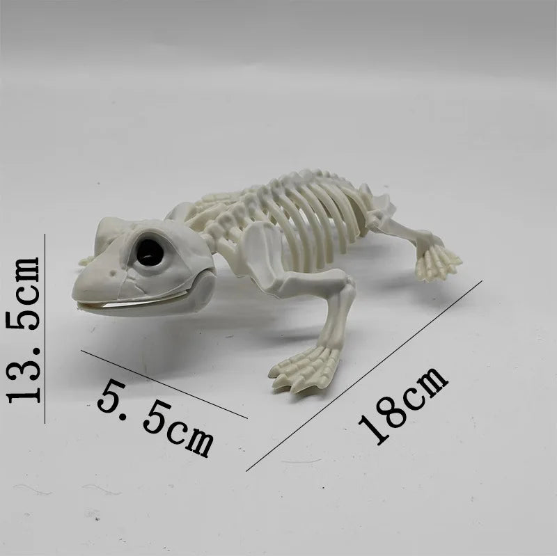 Halloween Skeleton Animal Bones Props – Bat, Spider & Scary Decor Halloween Prop Decoration Babs Frog skeleton