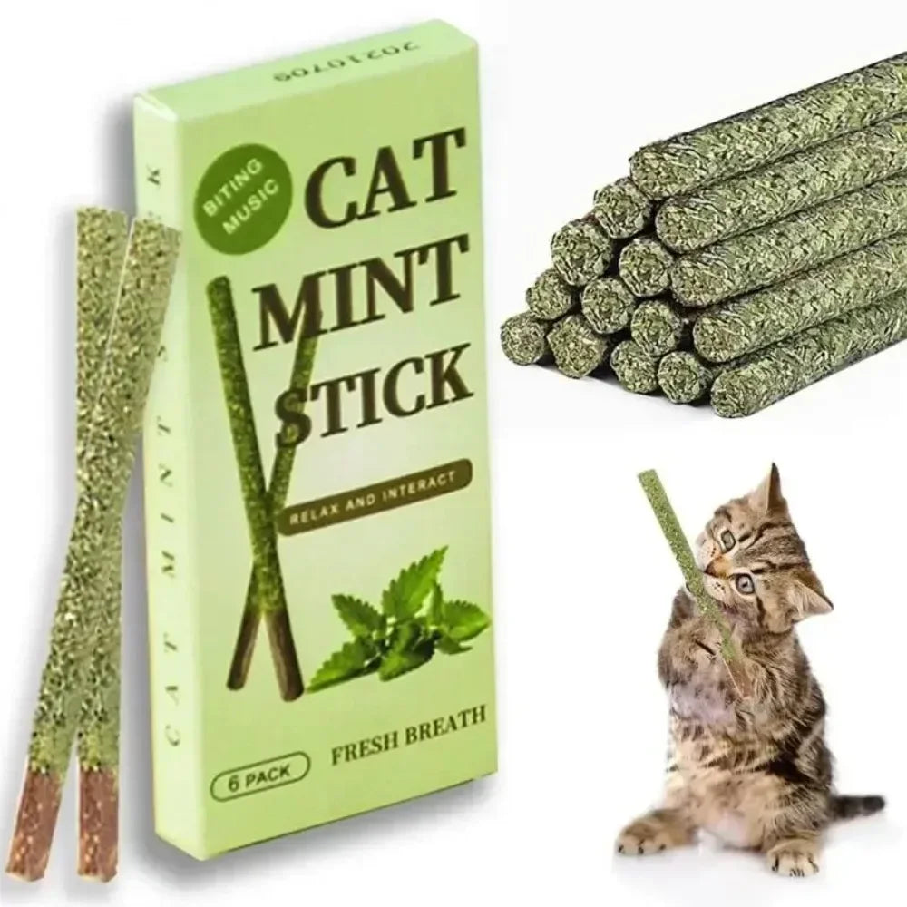 6-Pack Matatabi Silvervine Cat Chew Sticks – Teeth Cleaning Toy Cat Chew Toy Babs s1 6P