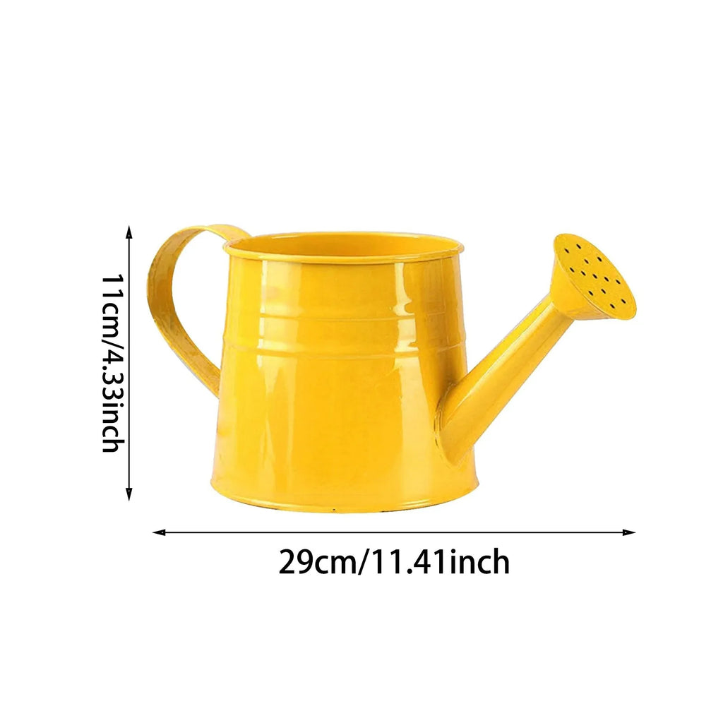 Metal Garden Watering Can – Extended Nozzle, Indoor & Outdoor Garden Watering Can Babs