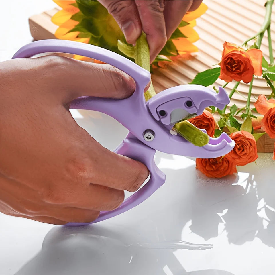 2-in-1 Floral Scissors & Rose De-Thorn Tool | Stem Pruner Floral Pruning Shears Babs