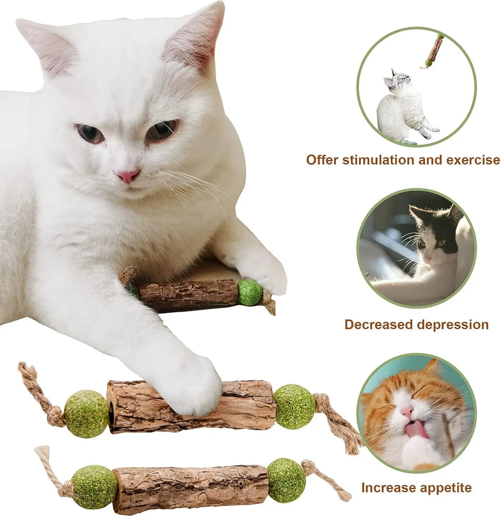 Natural Catnip & Silvervine Molar Chew Sticks for Cats Cat Chew Toy Babs