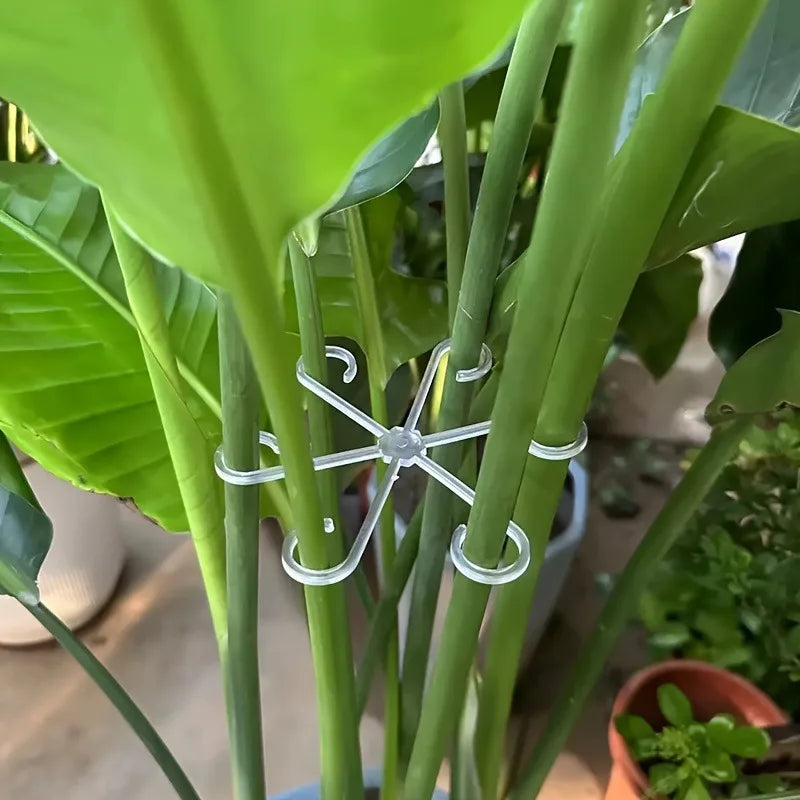 4pcs Adjustable Transparent Plant Support Clips for Flowers & Vines Plant Support Clips Babs