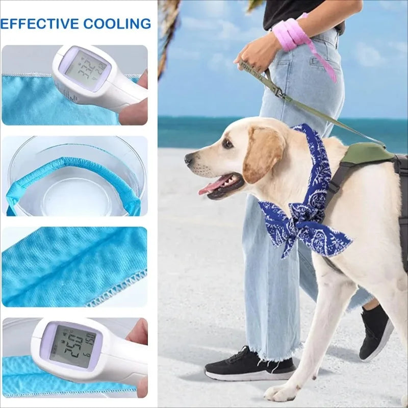 Pet Cooling Bandana for Dogs & Cats – Summer Ice Scarf 2-Pack Pet Cooling Bandana Babs