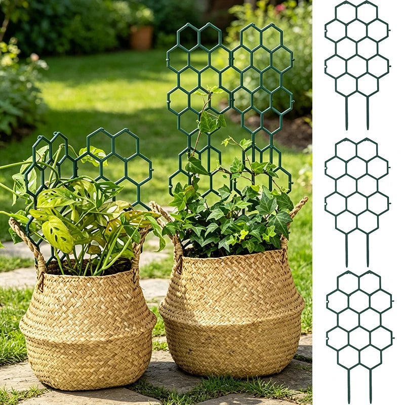 Honeycomb Plant Trellis – Plastic Climbing Frame for Vines Plant Trellis Stake Babs