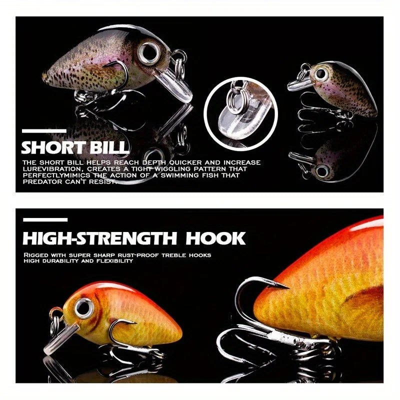 5-Piece Mini Fishing Lure Set – 3D Crank Bait with Tackle Box Fishing Lure Set Babs
