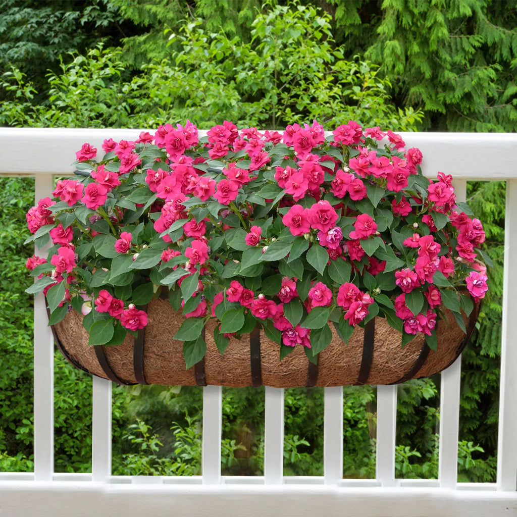 2-Pack Coconut Coir Hanging Basket Liners | Breathable Plant Pots Hanging Basket Liner Babs