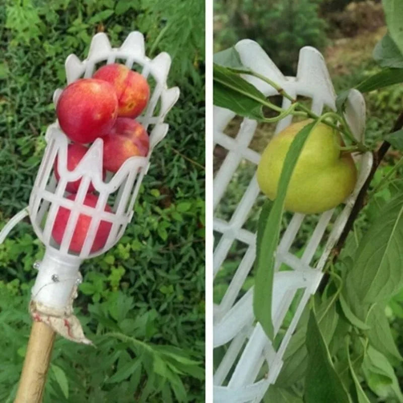 Plastic Fruit Picker Head – Garden & Orchard Harvest Tool Fruit Picker Tool Babs