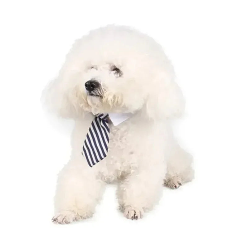 Adjustable Formal Suit Tie Collar for Small Dogs & Cats Pet Costume Tie Babs