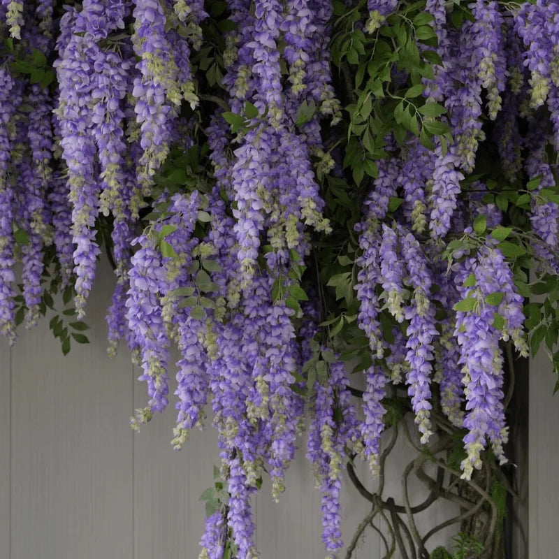 120cm Artificial Wisteria Garland – 5-Fork Hanging Vine Decor Artificial Flower Garland Babs