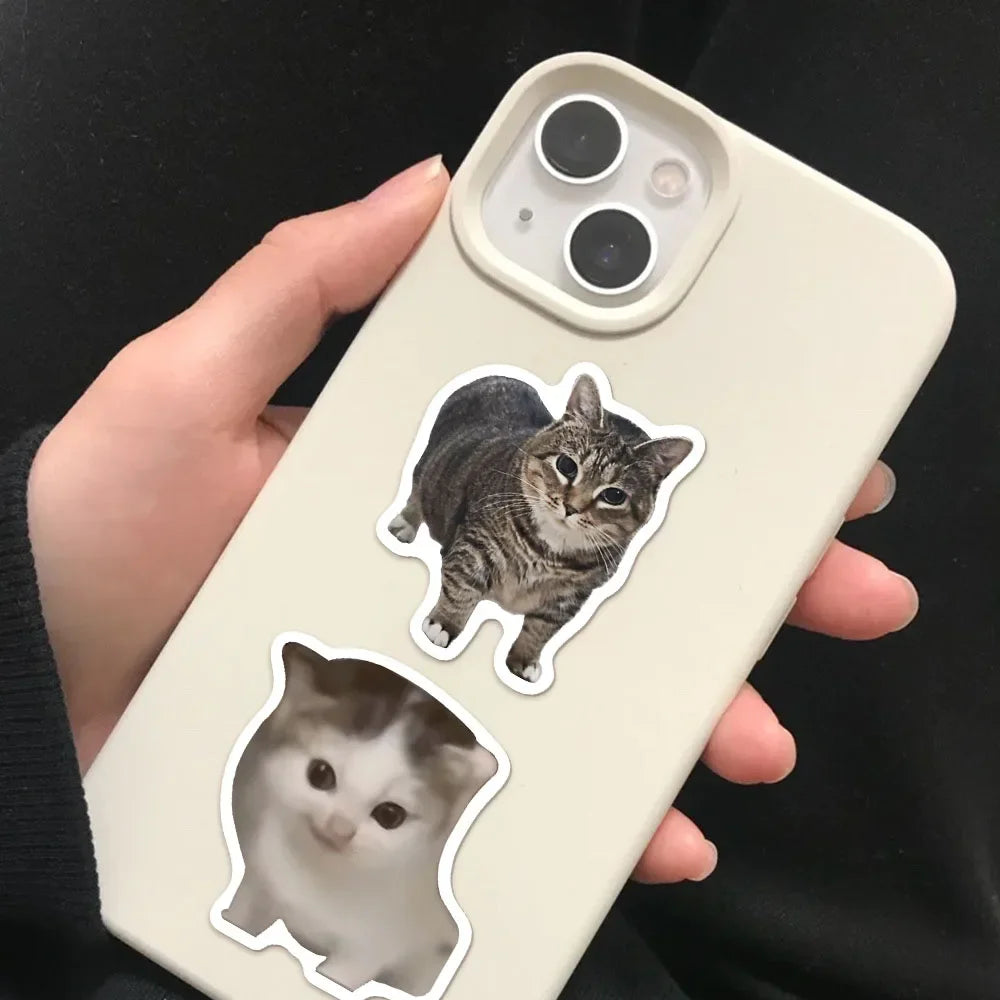 50/100PCS Cat Meme Stickers for Water Bottles & Skateboards DIY Sticker Pack Babs