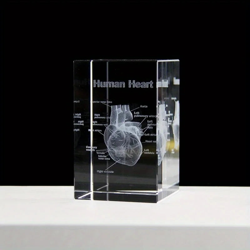 3D Laser Engraved Crystal Heart Cube – Anatomical Figurine Gift Crystal Figurine Babs