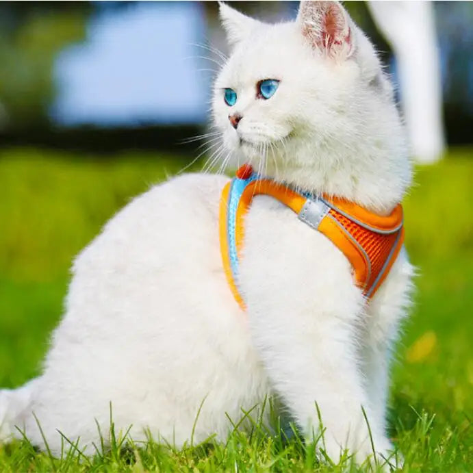 Reflective Dog Harness Vest with Leash | XXXS–L All Breeds Dog Harness Vest Babs