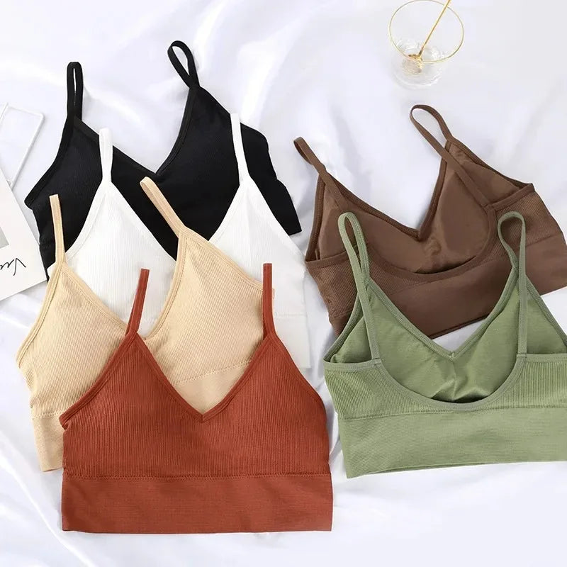 Seamless Women's Push Up Bra Bralette with Chest Pad Women's Bralette Babs
