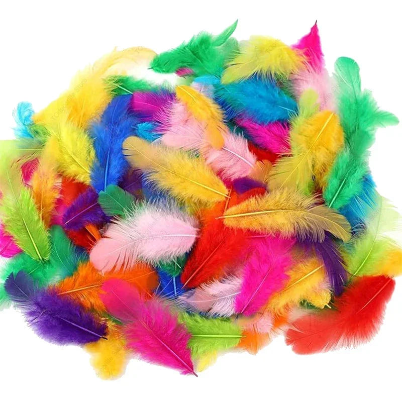 Natural Craft Feathers 7–15cm | Dream Catchers, DIY & Weddings Craft Feathers Babs