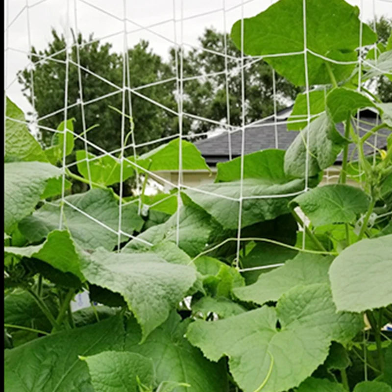 Garden Plant Trellis Netting – Square Mesh for Climbing Plants Garden Trellis Netting Babs