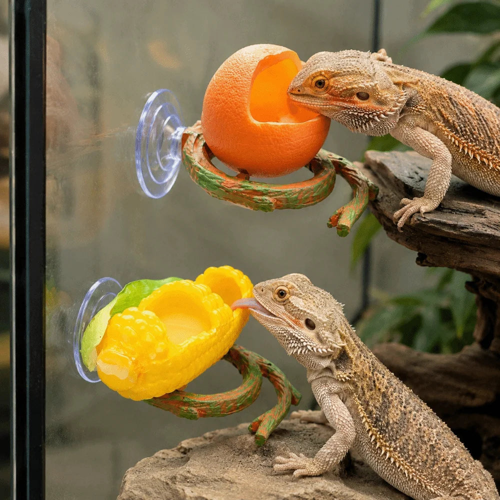 Resin Lizard Feeder Bowl with Suction Cup | Reptile Dish Reptile Feeding Bowl Babs