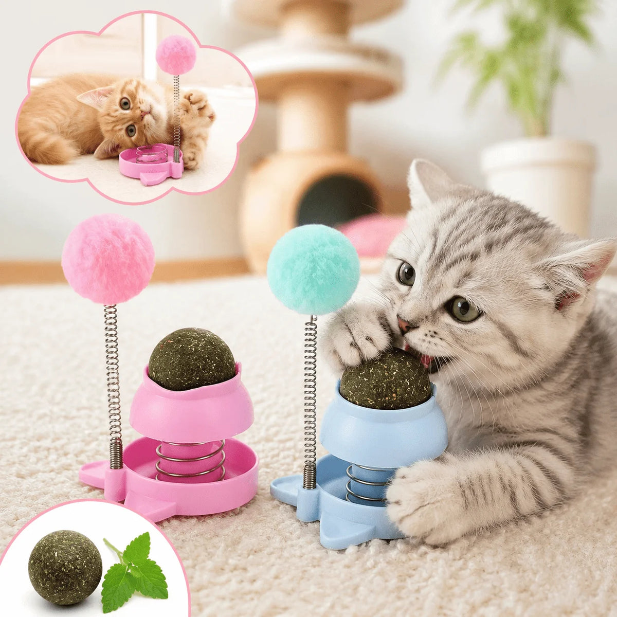 2pcs Interactive Spring Cat Toy with Catnip Ball & Pom-pom Interactive Cat Toy Babs