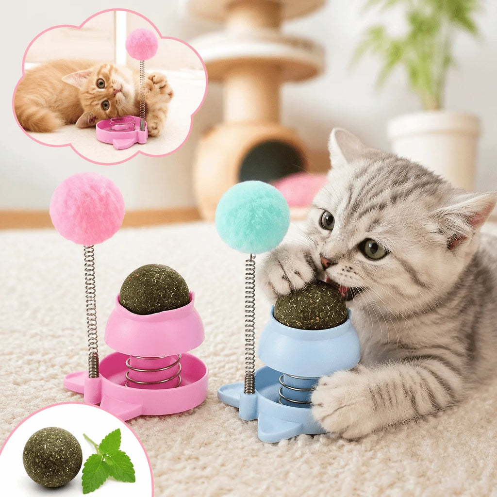 2pcs Spring Cat Toy with Catnip Ball & Fluffy Pom-Pom Interactive Cat Toy Babs