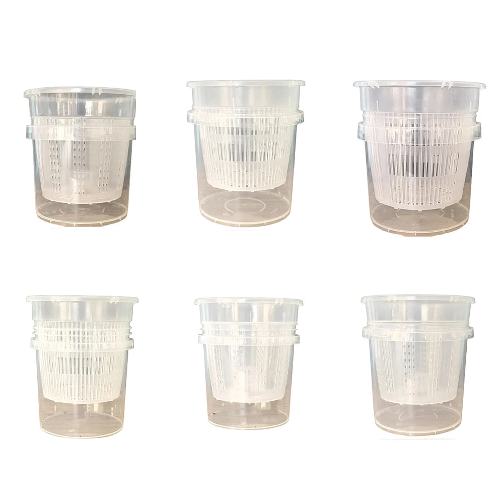 Self-Watering Orchid Pot | Transparent Plastic Planter with Holes Self-Watering Planter Babs