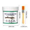 Tree Pruning Sealer Paste – Grafting & Wound Repair Tool Garden Pruning Sealer Babs 100g with brush