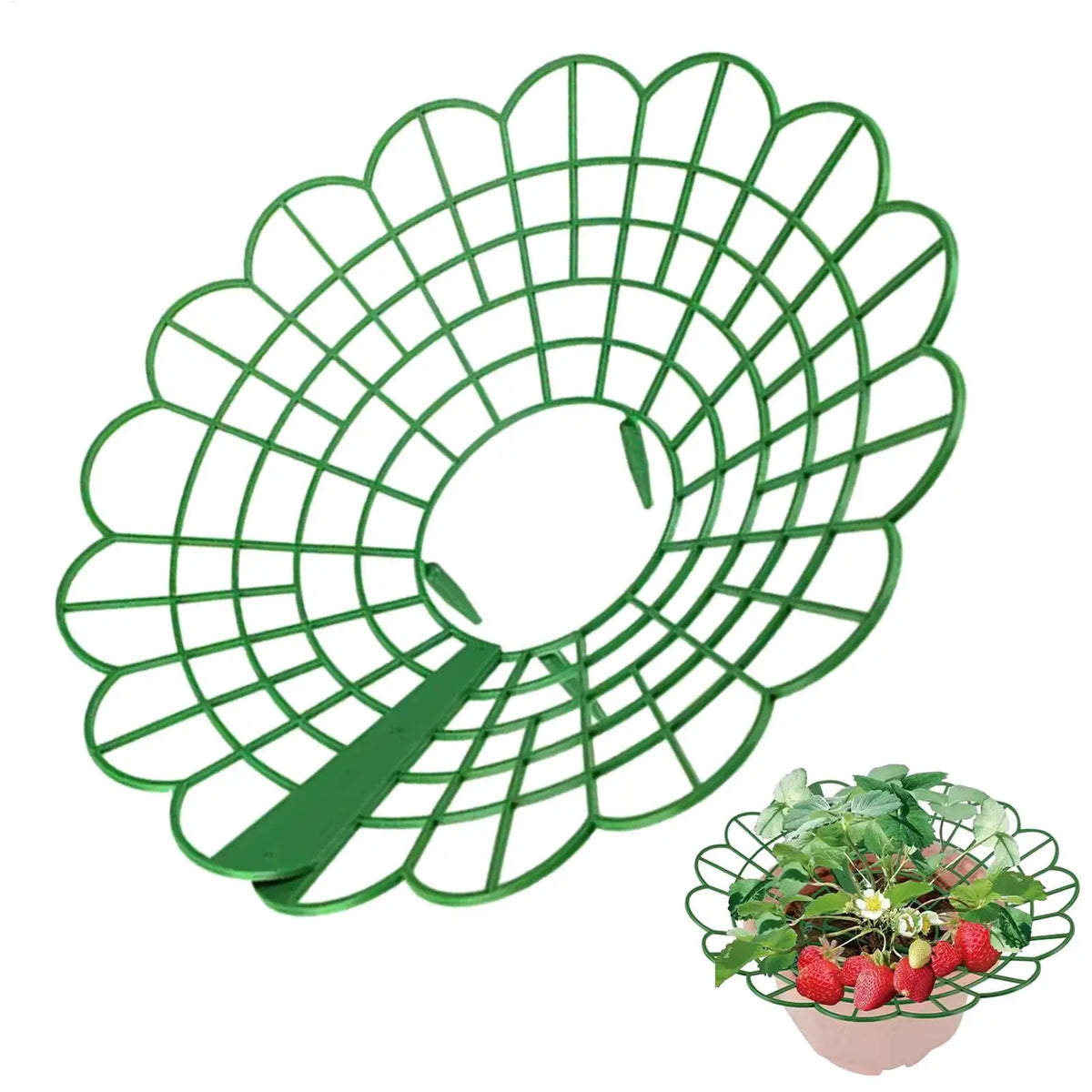 Strawberry & Watermelon Garden Support Frame | Planting Rack Garden Support Frame Babs