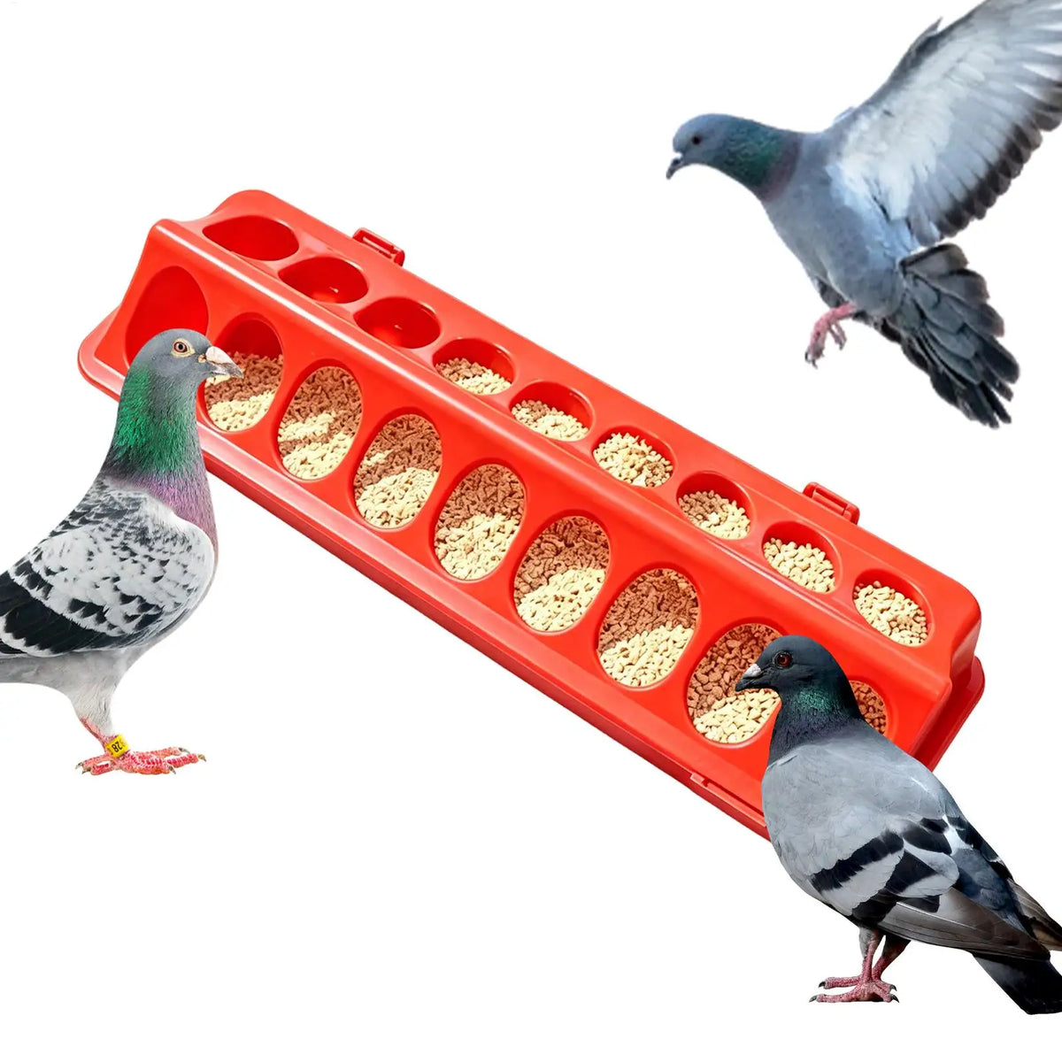 18-Hole Double Row Poultry Ground Feeder Trough – Red Poultry Feeder Trough Babs