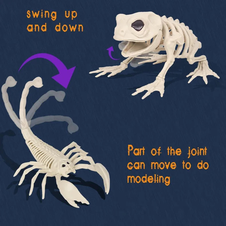 Halloween Skeleton Animal Bones Props – Bat, Spider & Scary Decor Halloween Prop Decoration Babs