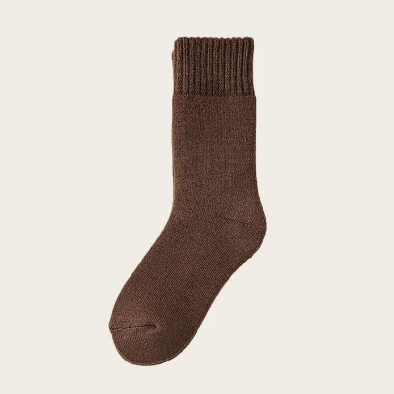 Men's Thick Fleece Lined Thermal Mid Calf Winter Socks 2-Pack Thermal Winter Socks Babs Coffee One Size