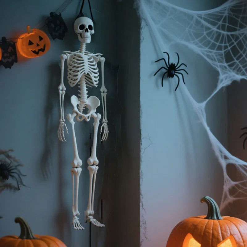 40cm Posable Halloween Skeleton Skull Horror Prop & Party Decor Halloween Skeleton Prop Babs