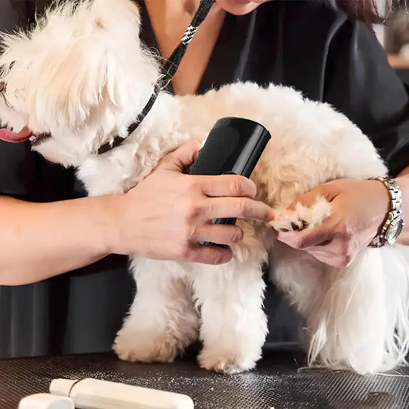 Ergonomic Pet Deshedding Brush – Dog & Cat Hair Remover Pet Grooming Brush Babs
