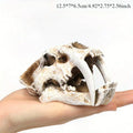 Resin Dinosaur Skull Aquarium & Reptile Habitat Decoration Aquarium Ornament Babs toothed tiger