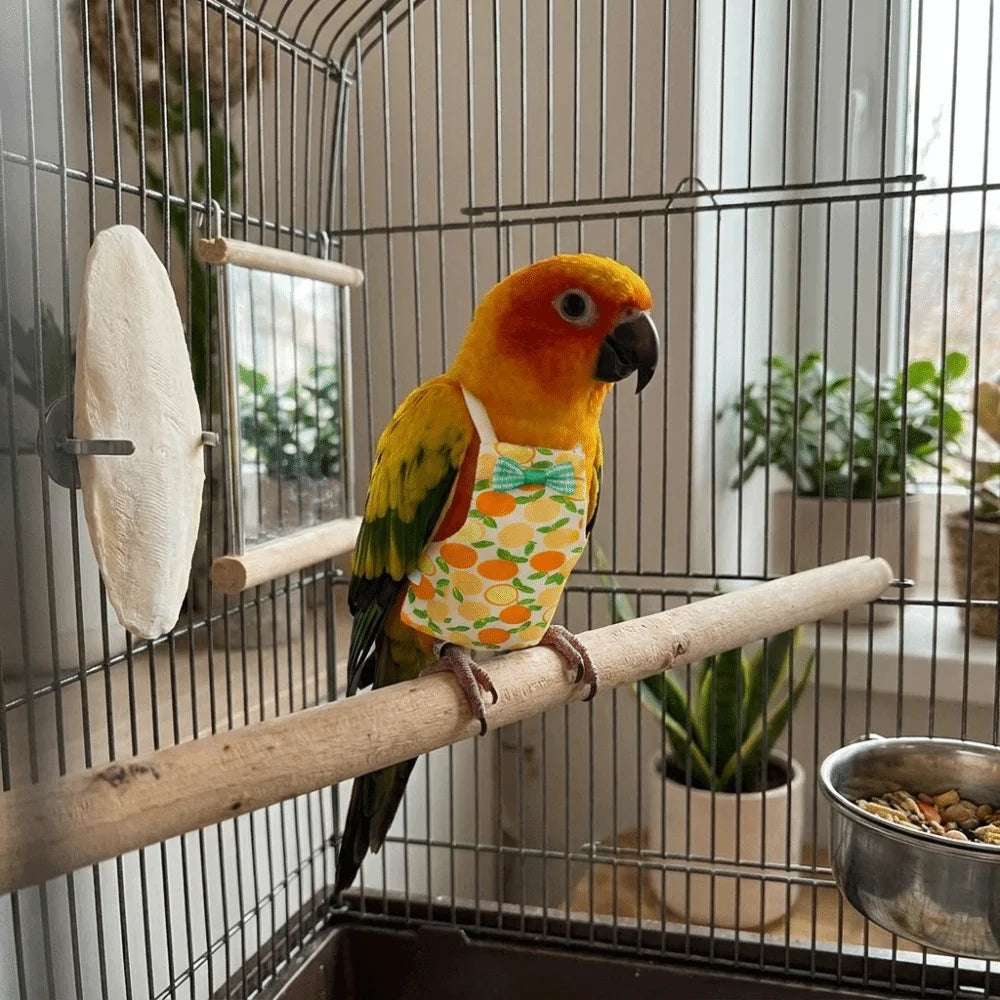 Parrot Diaper Flight Suit with Bowtie – Fruit Pattern, S/M/L Bird Flight Suit Babs