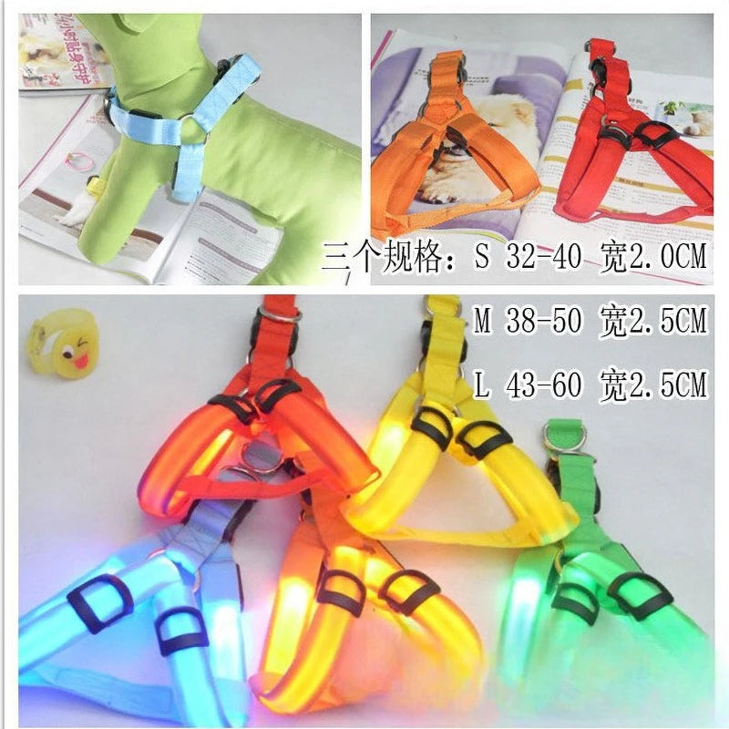 LED Light-Up Dog Leash Harness | USB Rechargeable Glow Walk LED Dog Leash Babs