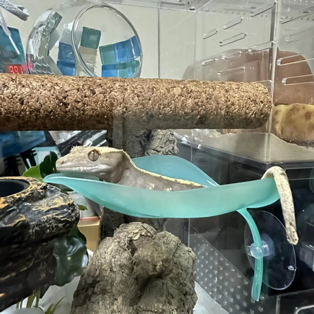 Suction Cup Terrarium Leaf Basking Platform for Reptiles Terrarium Basking Platform Babs