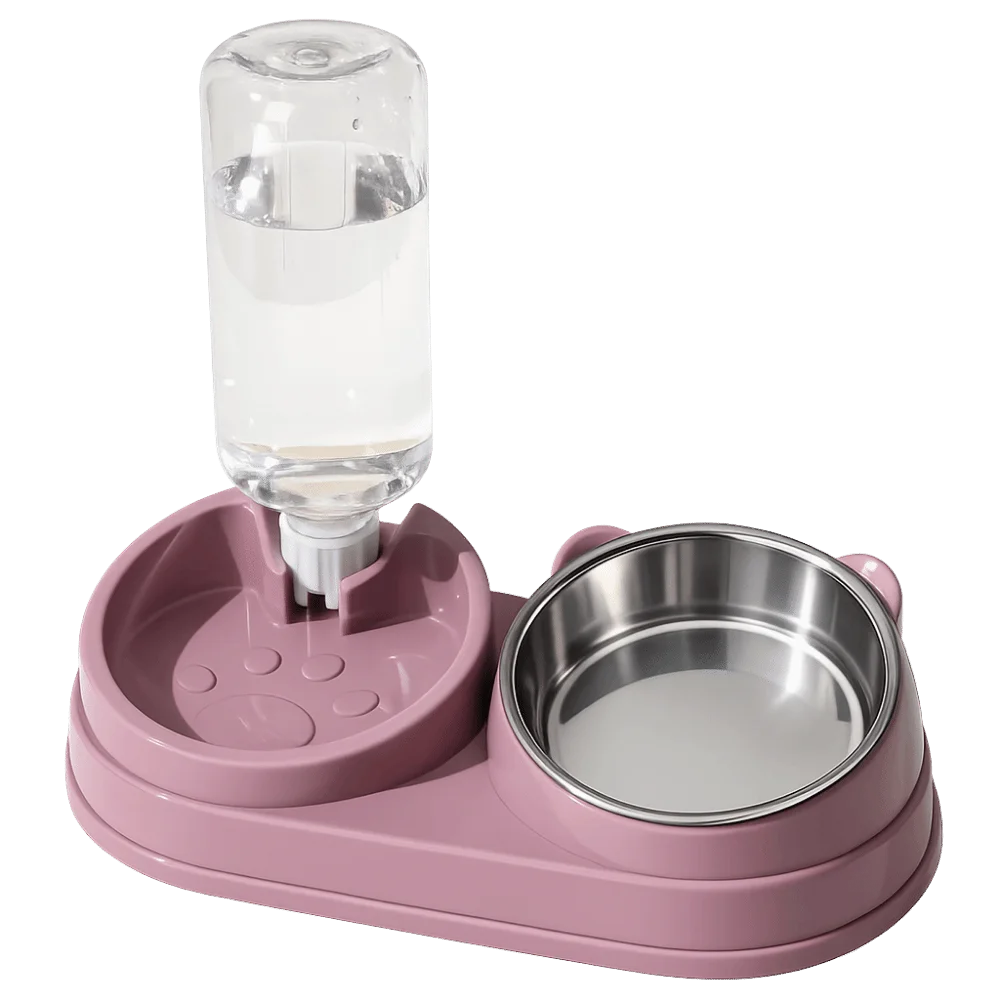 2-in-1 Tilted Dog & Cat Bowl – Stainless Steel Dry/Wet Feeder Pet Feeding Bowl Babs Pink