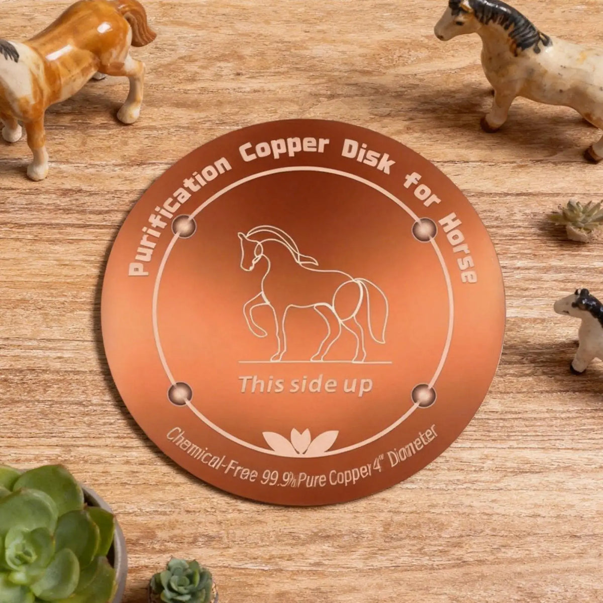 Copper Bird Bath Purifier Disc | Outdoor Water Cleaner Bird Bath Purifier Babs