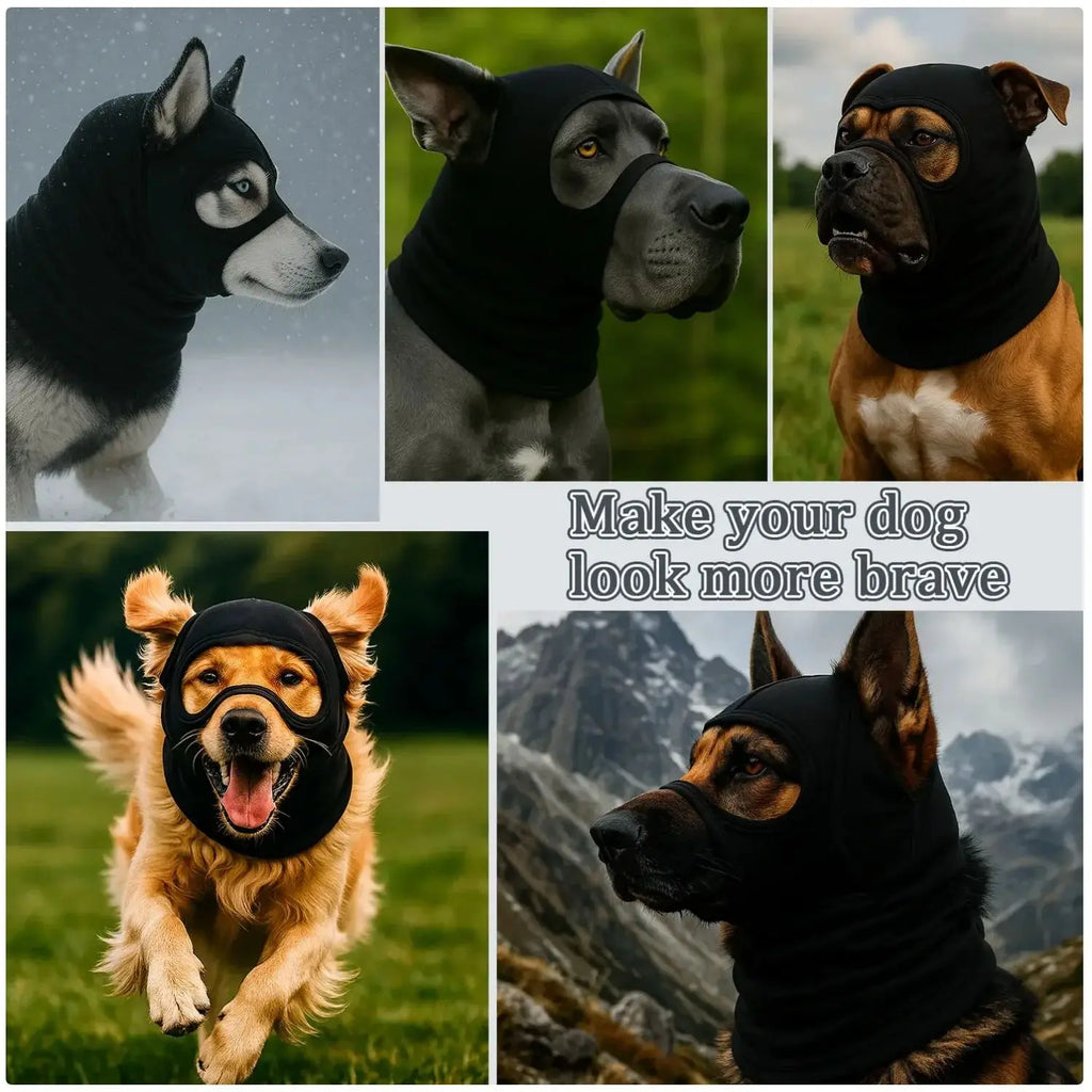 Dog Face Mask Headgear – Warm Minimalist Pet Headwear Dog Headwear Babs