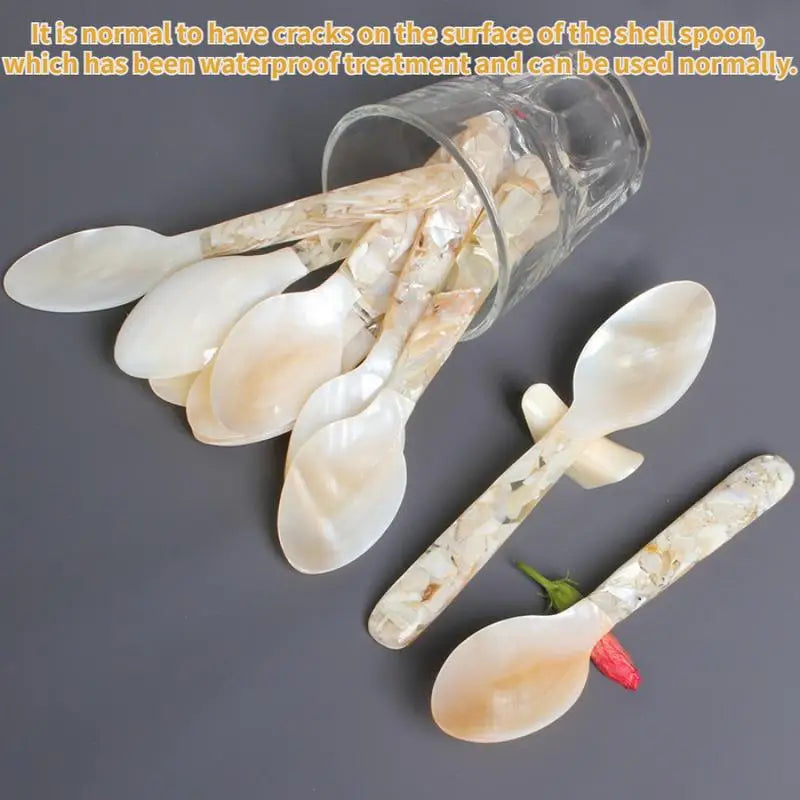 Conch Shell Spoon 15cm – Dessert, Coffee & Dinner Stirrer Decorative Spoon Babs