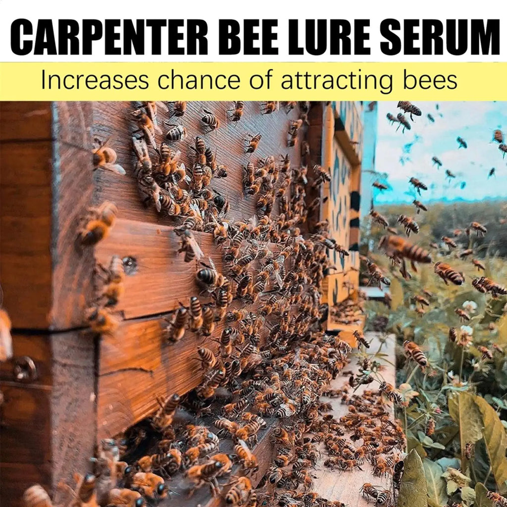 100ml Bee Attractant Spray – Carpenter Bee Lure & Bait Bee Trap Attractant Babs