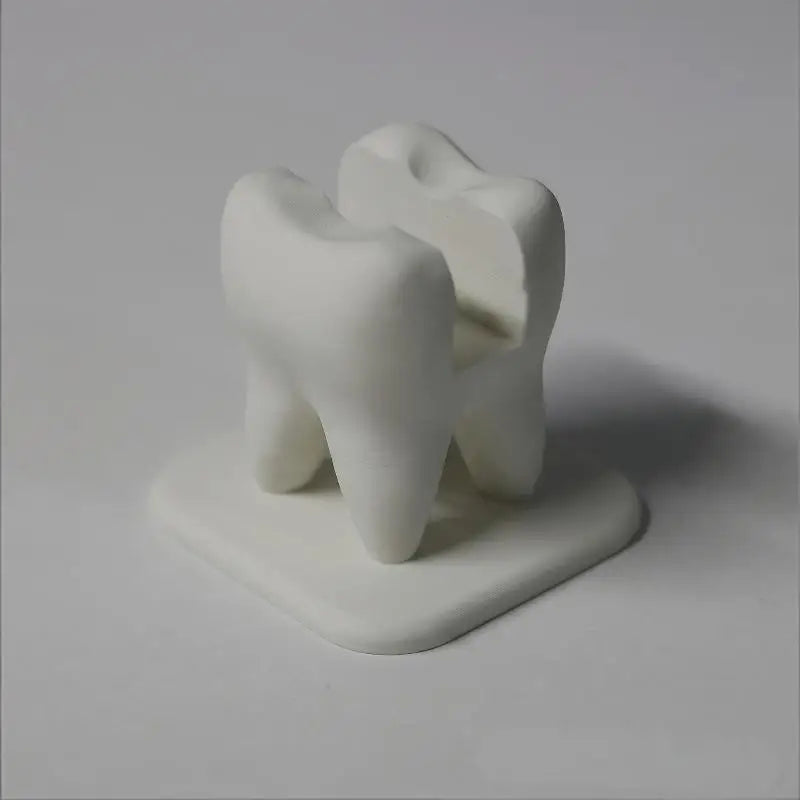 Tooth-Shaped Business Card Holder – Dental Desk Organizer Business Card Holder Babs