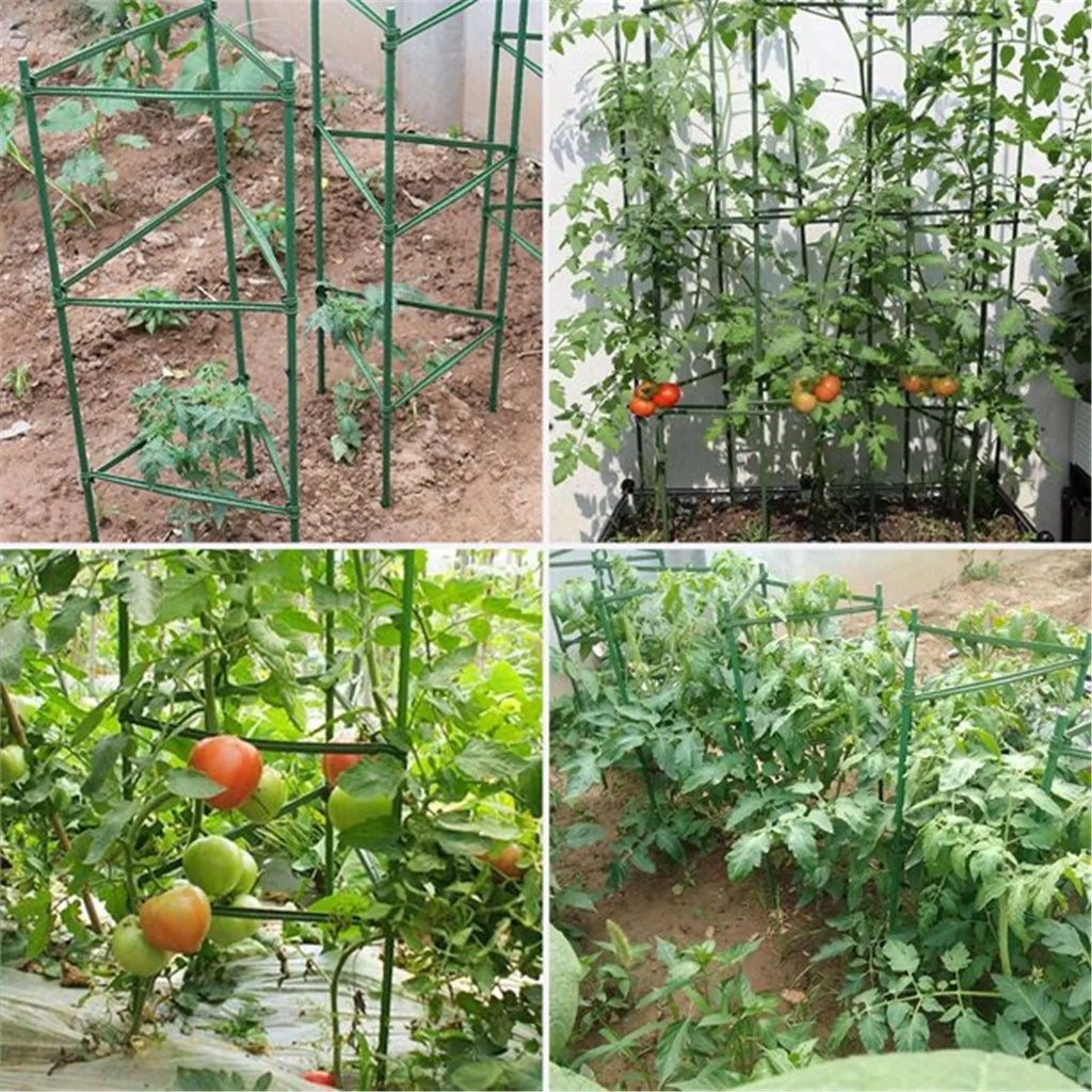 24pcs Plant Stake Arms – Tomato Cage & Climbing Plant Support Plant Support Stakes Babs