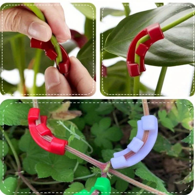 50pcs Plant Bending Clips – 90° Adjustable Training Clamps Plant Training Clips Babs