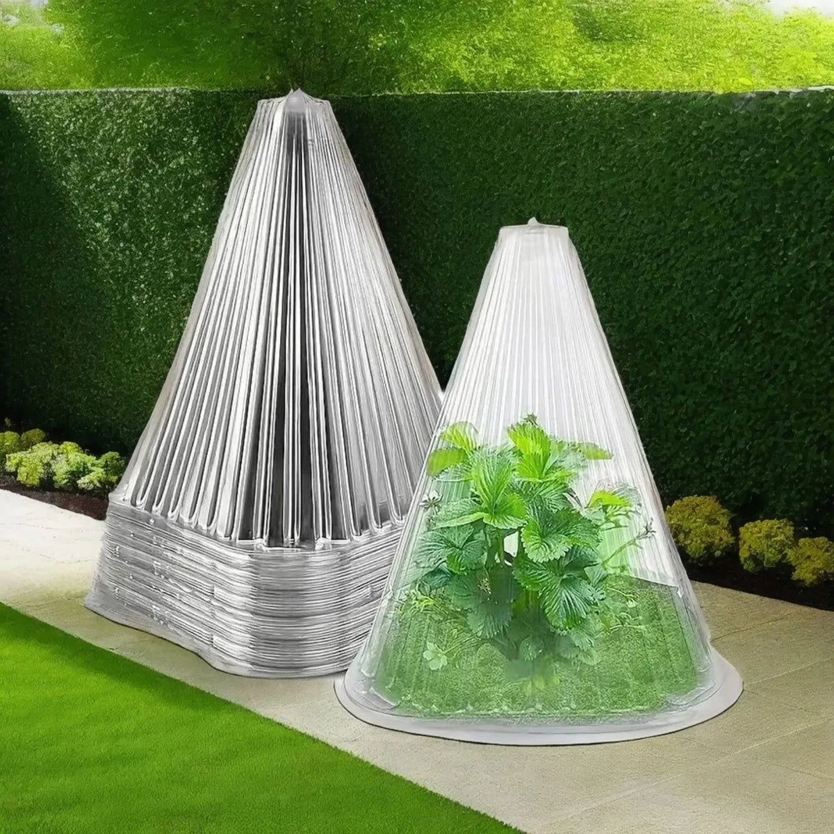 Plant Cloche Dome Covers 10-30pcs – Protect from Frost & Birds Plant Cloche Cover Babs