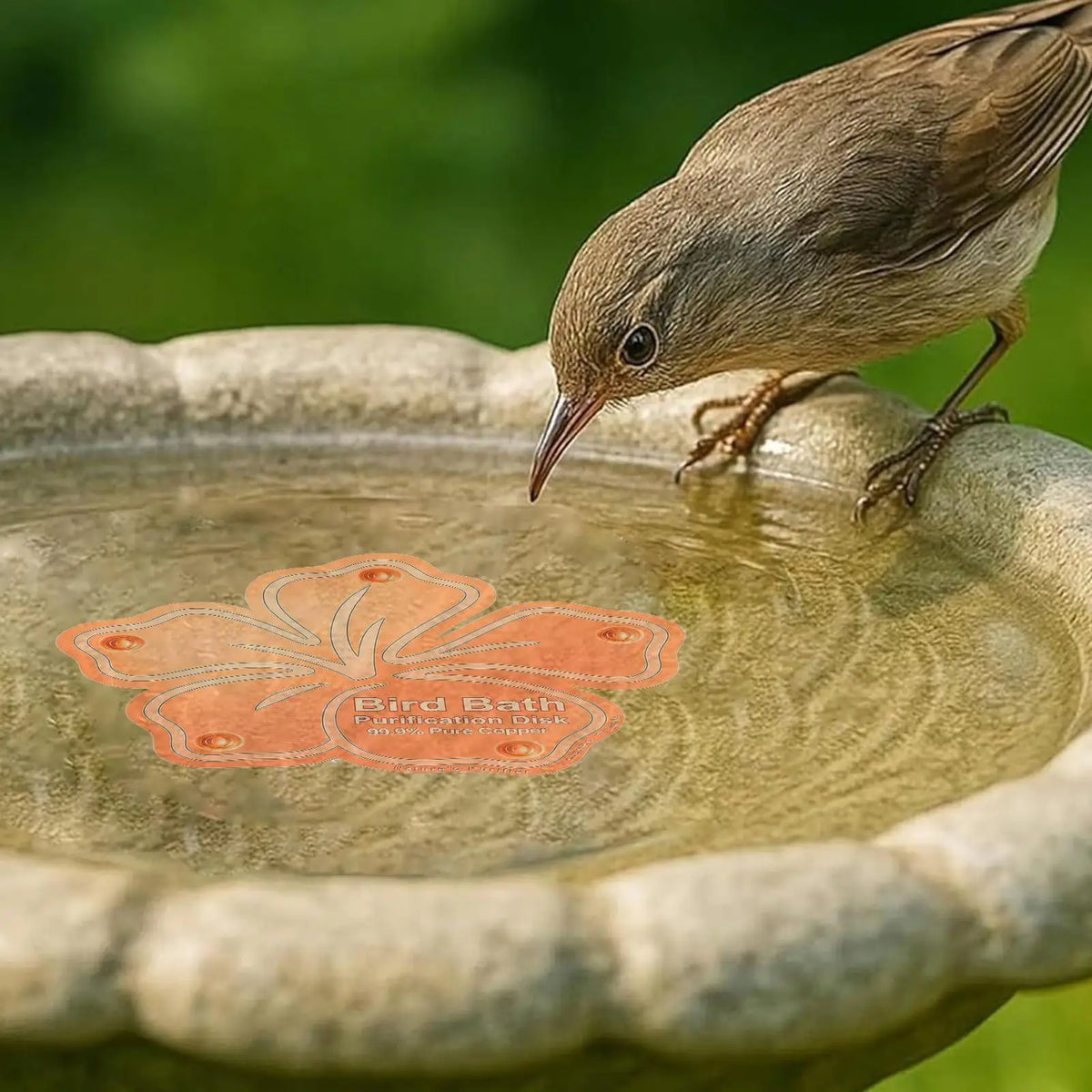 Copper Bird Bath Purification Disc – All-Season Backyard Bird Bath Purifier Babs