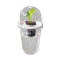 Clear Hydroponic Seed Starter Cup | Transparent Germination Pot Hydroponic Seed Cup Babs White