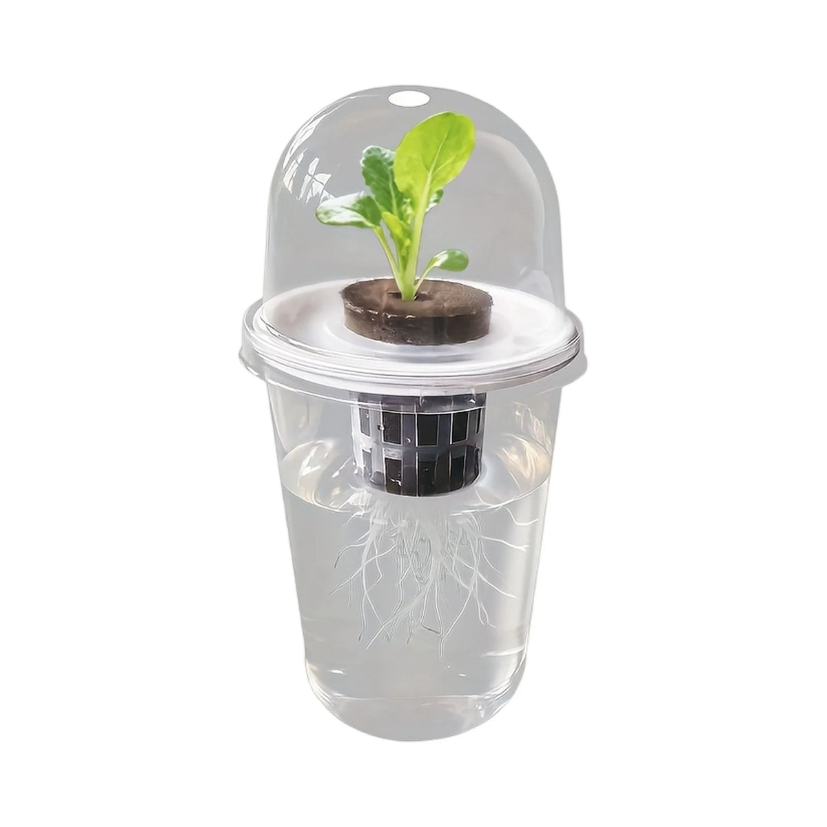 Clear Hydroponic Seed Starter Cup | Transparent Germination Pot Hydroponic Seed Cup Babs White